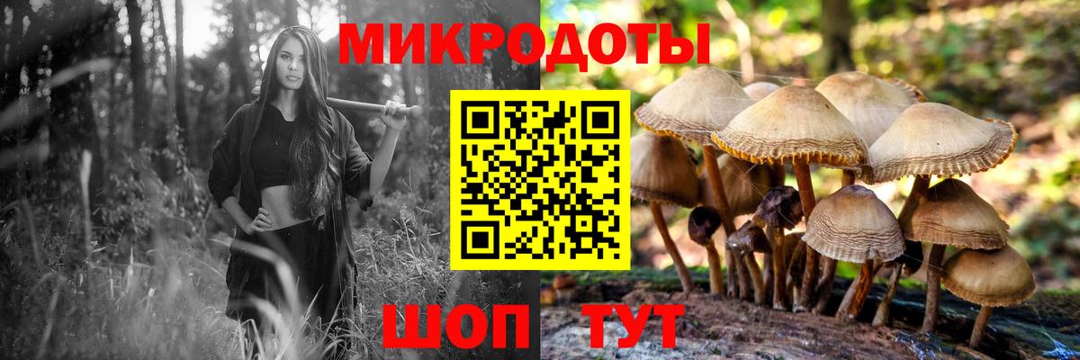 Димитровград  Псилоцибиновые грибы ЛСД  Псилоцибиновые грибы ЛСД  Вход с VPN 